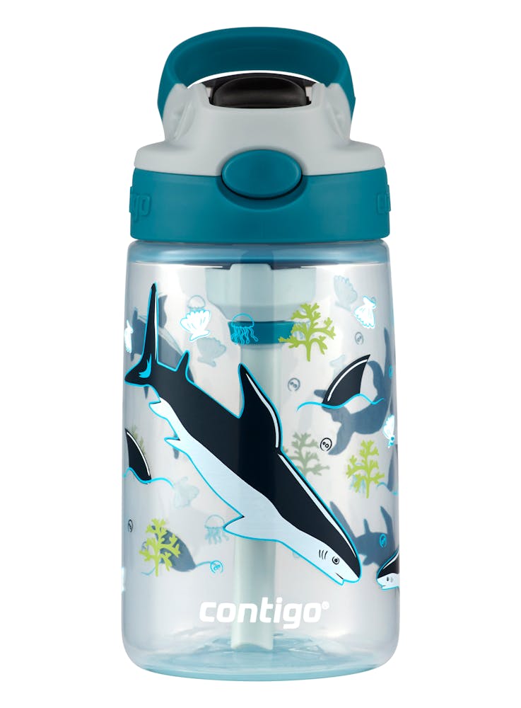 Contigo® Kids Straw Water Bottle with AUTOSPOUT® Lid, 14oz IIMG